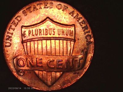 2021-P-Penny-Damage-Or-Cud-Type-Issue?